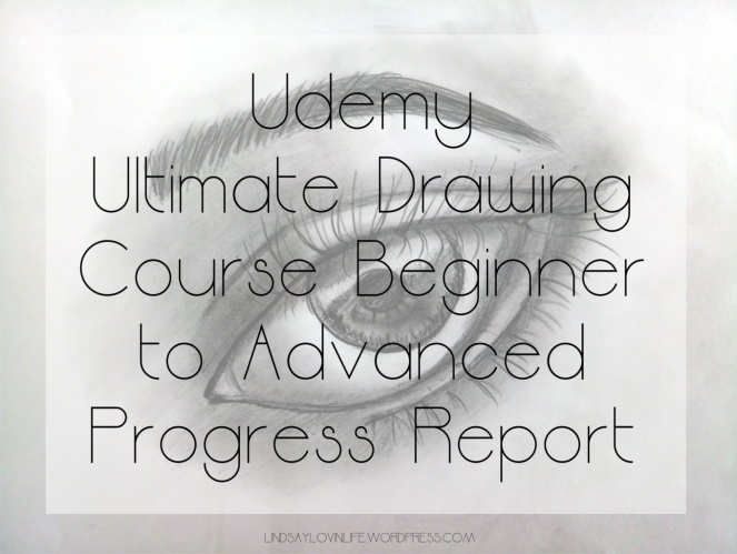 Udemy Ultimate Drawing Course 4